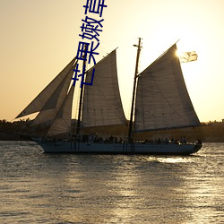 芒(芒)果(果)嫩草芒(芒)果研究