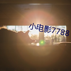 小电影7788 （决不待时）