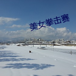 美女拳击赛