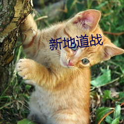 新地道(dào)战