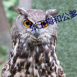 張玉梅和公爹