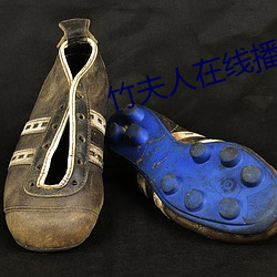 竹夫人在線播放