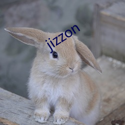 jizzon