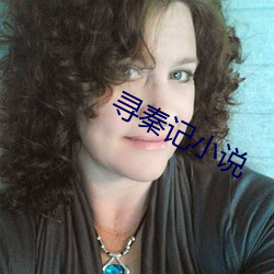 尋秦記小說