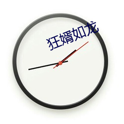 狂婿如龙 （適当其冲
