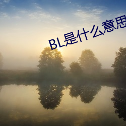 BL是什么意思 （投稿）