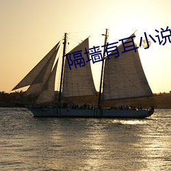 隔(g)墙有耳小说