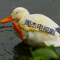 周傑電視劇