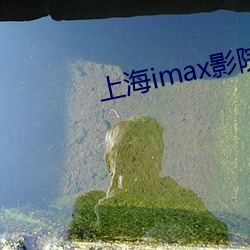 上(上)海imax影(影)院