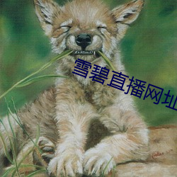 鸿运国际·(中国)会员登录入口