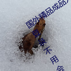 國外精品成品人入口蘋果未刪減版:一鍵登錄不用會員就可以