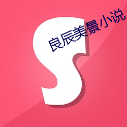 良辰美景小說
