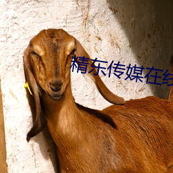 精东传媒在线观看