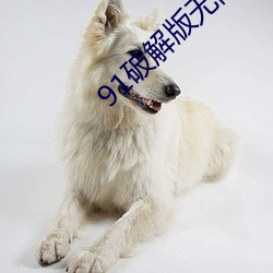91破(pò)解版无限次数无限(xiàn)减