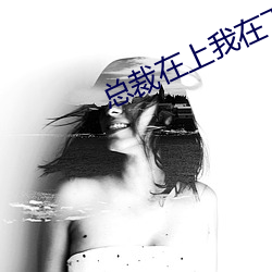 总裁在上我在下