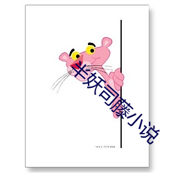 半妖司藤小说