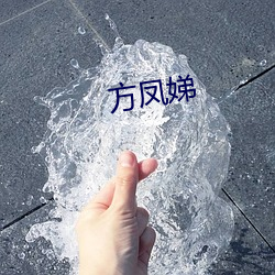 方凤娣(dì)