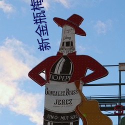 新金瓶梅國語