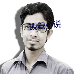 觊觎小說