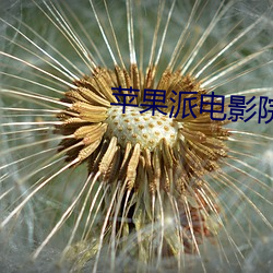 苹果派电影院