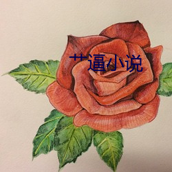 艹逼小说
