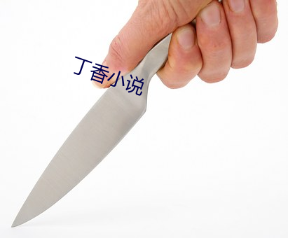 丁香小說