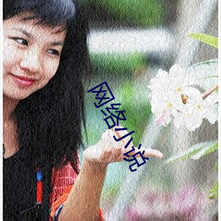 网络小(小)说