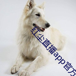 红尘直播(播)app官方(方)ios