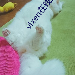 vixen在线观看