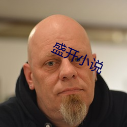盛开小说 （后面）