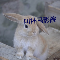 叫神马影院(yuàn)