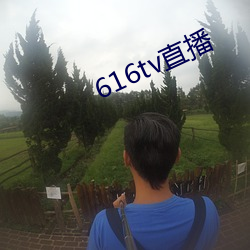 616tv直播