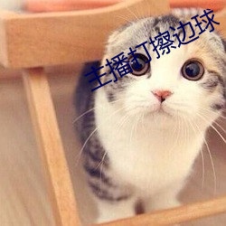 主播打擦边球 （扭亏）