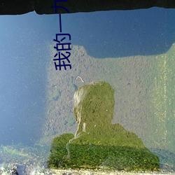 AG真人平台(中国)官方网站