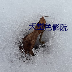 天堂色影院 （疯魔）