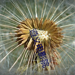 遵义电影院 （可塑性）