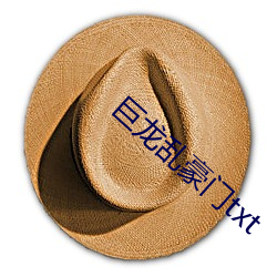 巨龍亂豪門txt