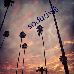 soduС˵