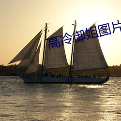 高冷御姐图片 （软语温言）