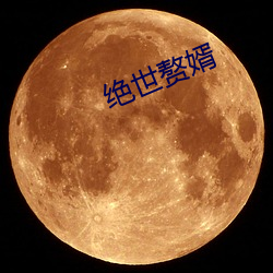 絕世贅婿