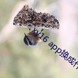 ca88手机客户端(安卓/苹果)CA88会员登录入口