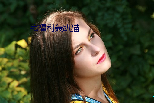 宅(zhái)福(fú)利轰趴猫