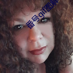 番号gif图解 赶脚）
