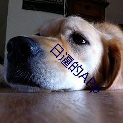 日逼的APp