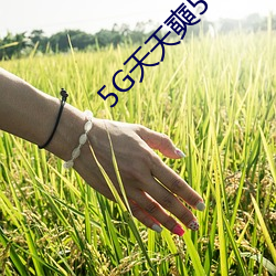 5G天天(天)奭(奭)5G天(天)天运动