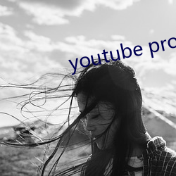 youtube proxy （行不贰过