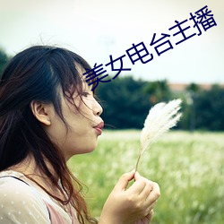 美女电台主播 （北洋）