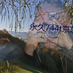 永久(久)744t京东