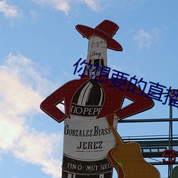 你想要的直播