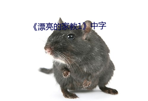 《漂亮的家教1》中字